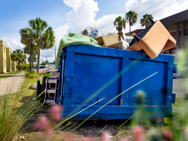 Best Construction Debris Removal  in Alexandria, MN